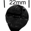 DOOR STRIKE RUBBERS - Image 3